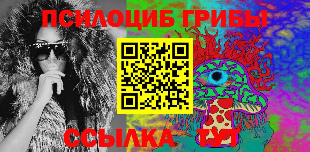 Псилоцибиновые грибы Cubensis Кингисепп