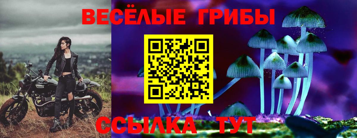 Галлюциногенные грибы Magic Shrooms  Вход с VPN  Галлюциногенные грибы Psilocybine cubensis  Кингисепп 